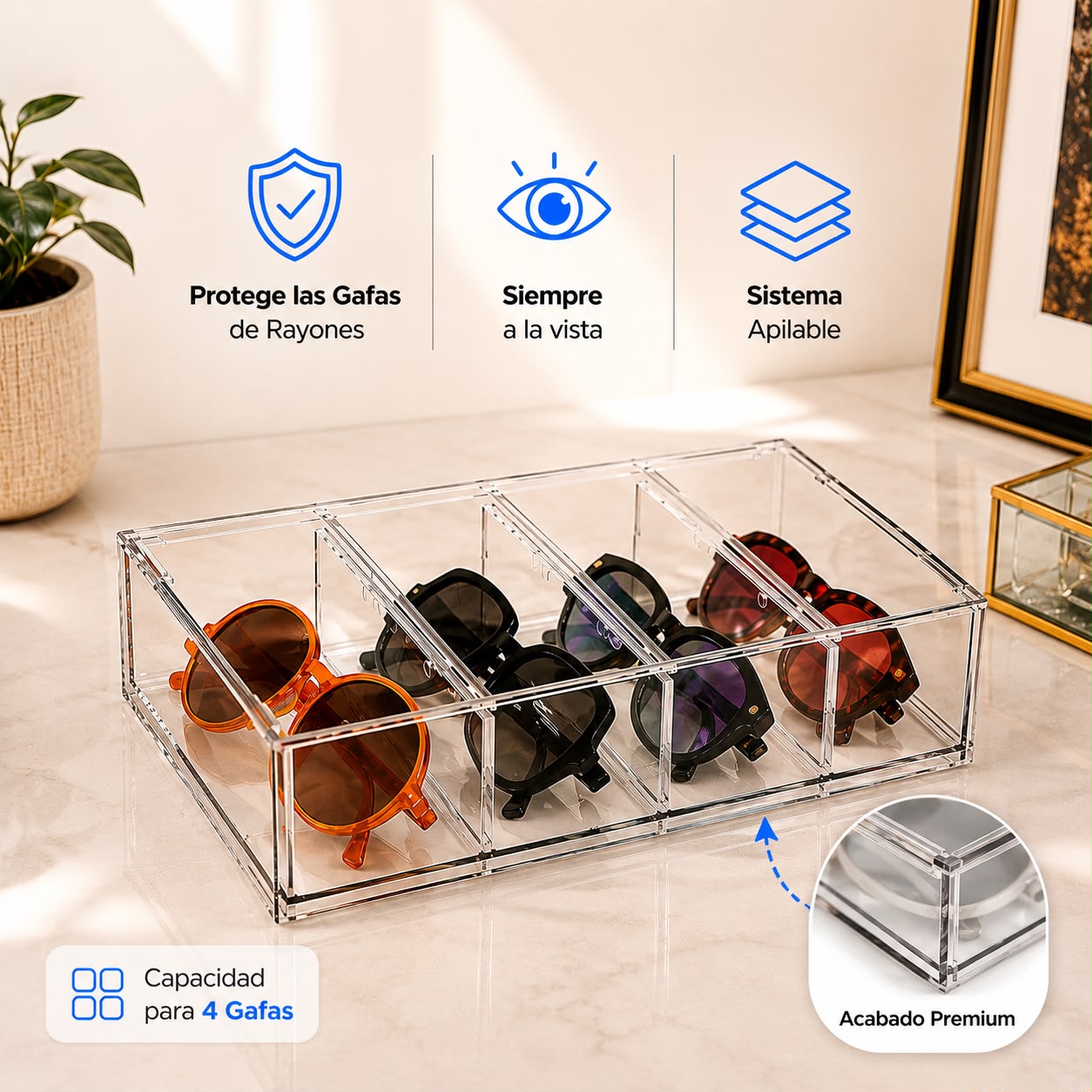 Organizador de Gafas